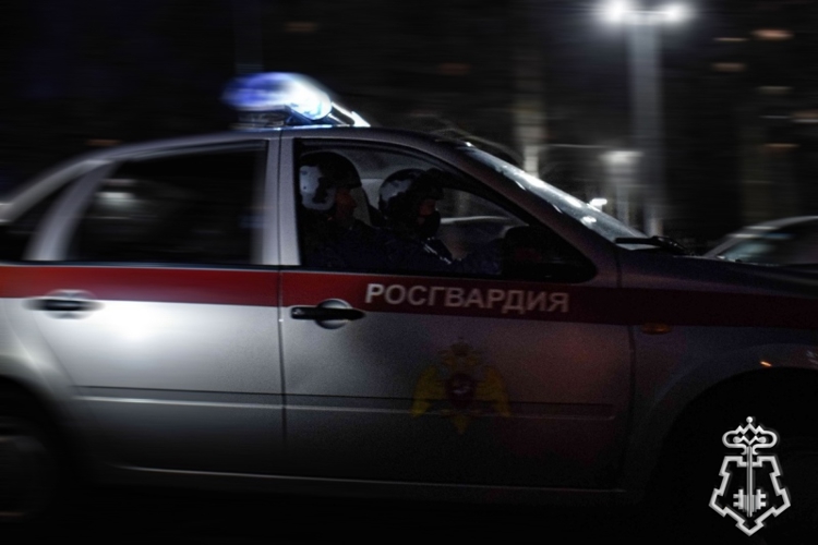 Росгвардейцы в Рубцовске задержали вора, похитившего телевизор у знакомого