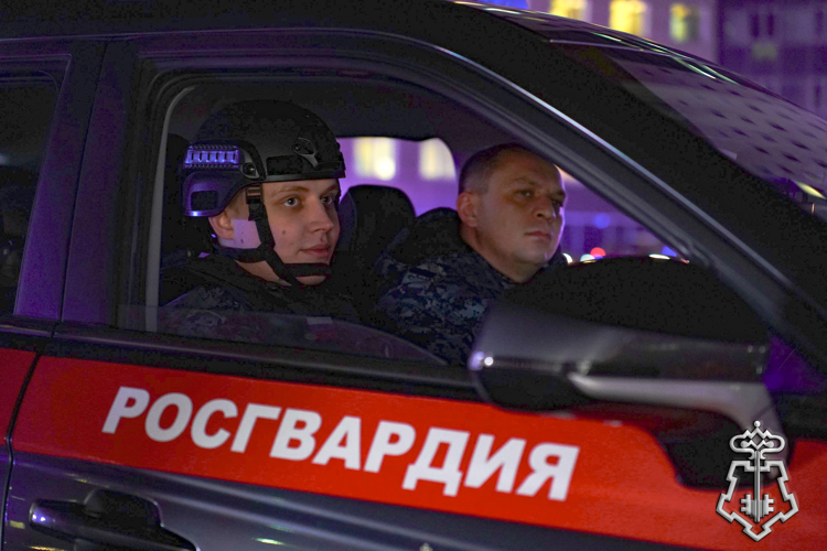 Нетрезвые водители задержаны росгвардейцами в двух райцентрах Алтайского края